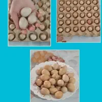 تخم نطفه دار
