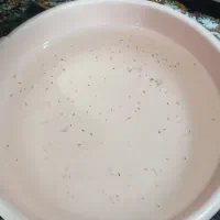 بچه ماهی گوپی نژاد دار