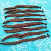 مومصنوعی شاخه ای