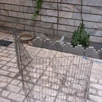 قفس سگ آهنی