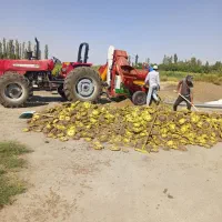 دستگاه آفتابگردان نو