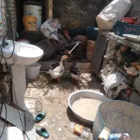 غاز و ‌قوغاز