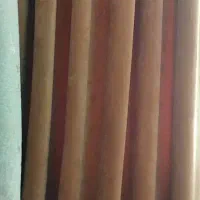 دوتاوالن مخمل کالیفرنیا