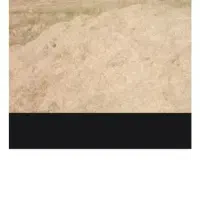 کاه گندم تراکتور زده نرم