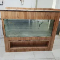 اکواریوم
