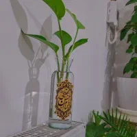 گلدون زیبای یاامام حسن