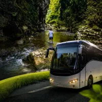 تور شمال مازندران