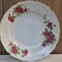 10 عدد بشقاب گل سرخی