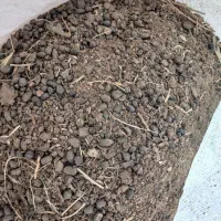 کود بز|خدمات باغبانی و درختکاری|برازجان, |دیوار