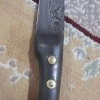 سید رضا