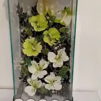 باکس گل