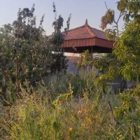 با-غ-پیر-بکران