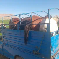 خرید و فروش نریون و مادیون