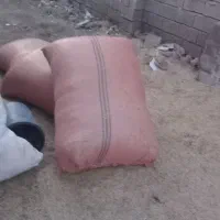 کاه کمباین برای فروش