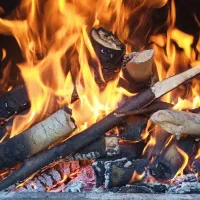 هیزم خشک ، چوب طبیعی ، شمال تهران