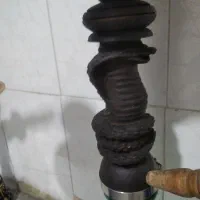 قلیون