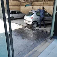 نیروی کار کارواش حرفه ایی