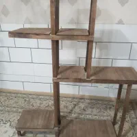 استندگل سالم