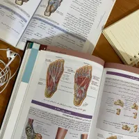 مشاور تحصیلی