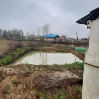 شریک سرمایه گذار