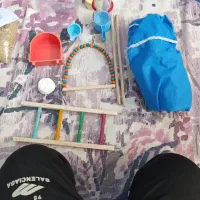 وسایل قفس عروس هلندی
