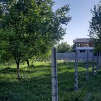 ۲۵۰ متری و ۵۰۰ متری زمین باغی دور فنس در زیاران