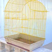 قفس قناری مرغ عشق فنچ