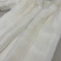 پالتو خز