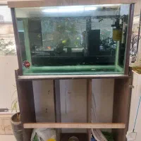 اکواریوم