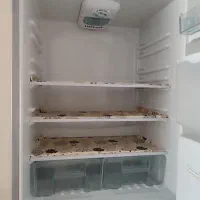 فروش یخچال