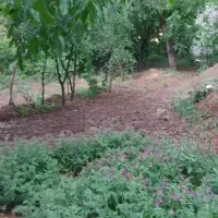 فروش باغ