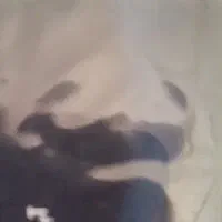 کارت پارک آبی