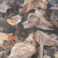 هیزم برای شومینه وکبابی