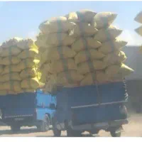 فروش کاه گندم تازه