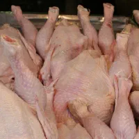 فروش ویژه مرغ زنده و قطعات مرغ