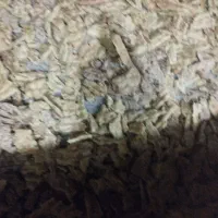 نان خشک تمیز بهداشتی