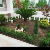 خدمات باغبانی گلکاری هرسکار ی سمپاشی صفر تا صدهمجا