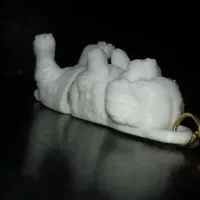 جاکیلیدی سگ گربه ماهی