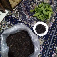 چای|خوردنی و آشامیدنی|سیاهکل, |دیوار