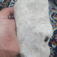 سنگها زینتی.قدیمی و فسیلی