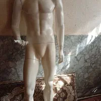 مانکن .قفسه.رگال.پاچال
