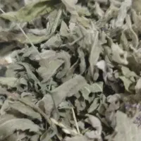 پونه خشک ابی