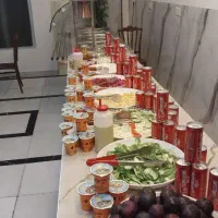 تور کربلا با کیفیت، نقد و اقساط