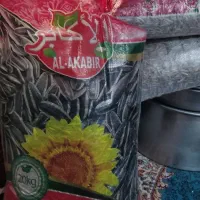 کوتشیخ