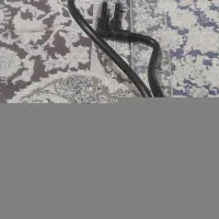 استوک زانتیا