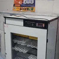 فروش دستگاه جوجه کشی هدایت