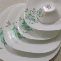 ظروف پذیرایی