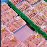 مرغ ماهی ممتازنوقی هاباتخفیف ویژه واستثنائی