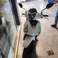 180|موتورسیکلت|پرند, فاز ۵|دیوار