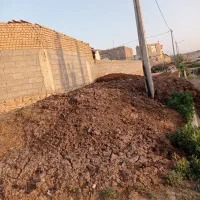 کودگاوی|خدمات باغبانی و درختکاری|بجنورد, |دیوار